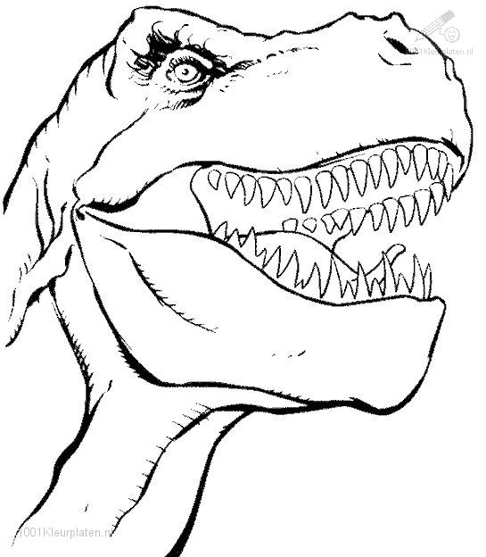t rex dinosaur coloring pages - photo #25