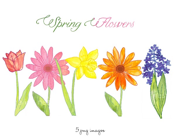 spring flower clipart images - photo #38