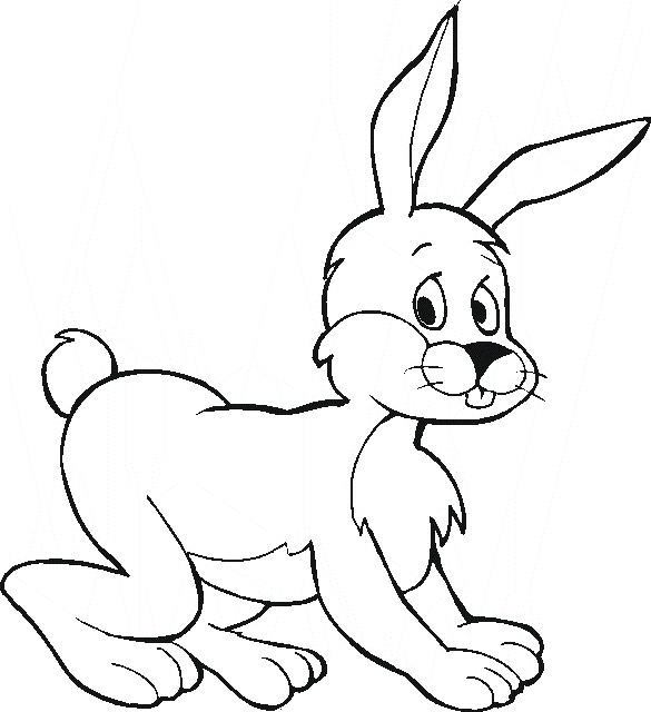 a to z animals coloring pages - photo #34