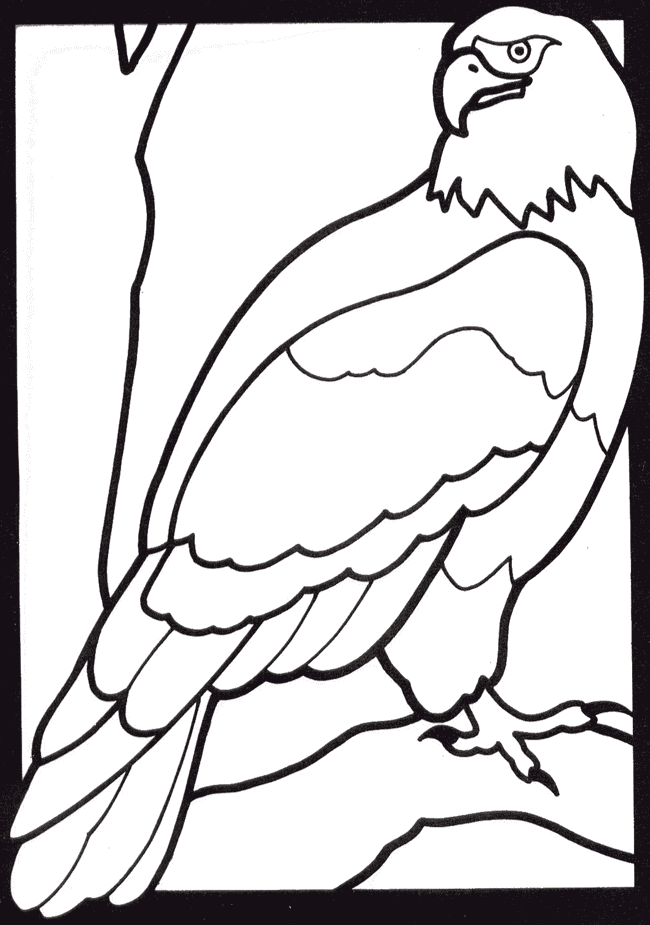 Crayola Coloring Pages - Z31 Coloring Page